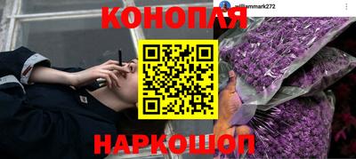 дурь Рыбинск