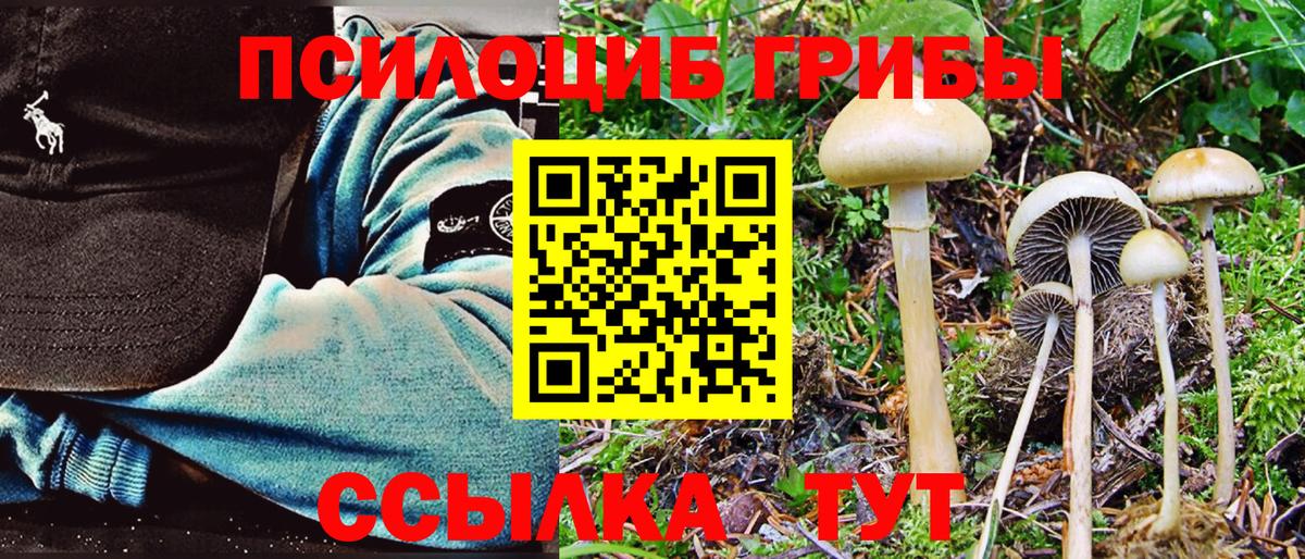 продажа наркотиков  Вход с VPN  Оренбург  Галлюциногенные грибы MAGIC MUSHROOMS 